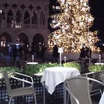 Biennale Bed & Breakfast Venezia