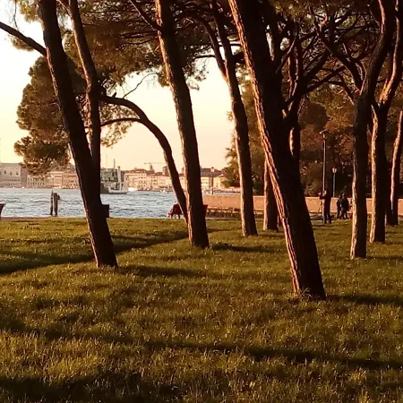Biennale * Venice