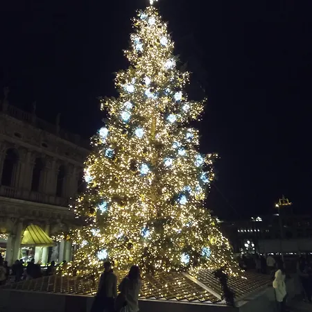 住宿加早餐酒店 阿隆格拜阿尼住宿加早餐旅馆 威尼斯